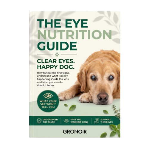 Eye Nutrition Guide