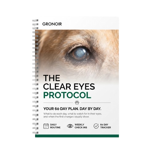 Day by Day Eye Planner